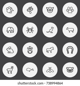 Set Of 16 Editable Animal Outline Icons. Includes Symbols Such As Cockerel, Spinner, Steed And More. Can Be Used For Web, Mobile, UI And Infographic Design.