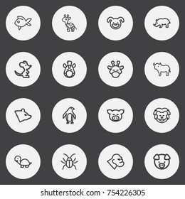 Set Of 16 Editable Animal Outline Icons. Includes Symbols Such As Turbot, Piggy, Rhinoceros And More. Can Be Used For Web, Mobile, UI And Infographic Design.