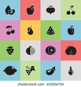 Set Of 16 Editable Berry Icons. Includes Symbols Such As Papaya, Morello Cherry, Sativum And More. Can Be Used For Web, Mobile, UI And Infographic Design.