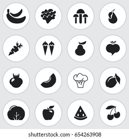 Set Of 16 Editable Berry Icons. Includes Symbols Such As Honeycrisp, Jungle Fruit, Cherry And More. Can Be Used For Web, Mobile, UI And Infographic Design.