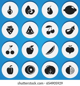Set Of 16 Editable Berry Icons. Includes Symbols Such As Melon, Cauliflower, Muskmelon And More. Can Be Used For Web, Mobile, UI And Infographic Design.