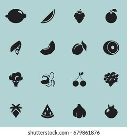 Set Of 16 Editable Berry Icons. Includes Symbols Such As Melon, Lettuce, Banana And More. Can Be Used For Web, Mobile, UI And Infographic Design.