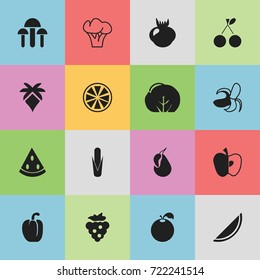 Set Of 16 Editable Berry Icons. Includes Symbols Such As Champignon, Cauliflower, Palm And More. Can Be Used For Web, Mobile, UI And Infographic Design.