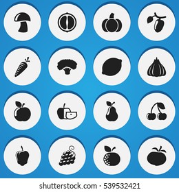 Set Of 16 Editable Cooking Icons. Includes Symbols Such As Barberry, Sweet Pepper, Turnip And More. Can Be Used For Web, Mobile, UI And Infographic Design.