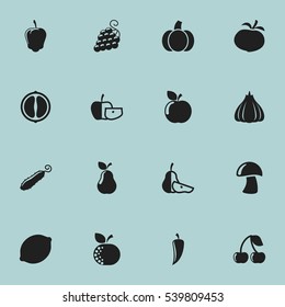 Set Of 16 Editable Cooking Icons. Includes Symbols Such As Zucchini, Sweet Pepper, Low-Calorie Fruit And More. Can Be Used For Web, Mobile, UI And Infographic Design.