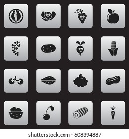 Set Of 16 Editable Cooking Icons. Includes Symbols Such As Melon, Pecan, Beet And More. Can Be Used For Web, Mobile, UI And Infographic Design.