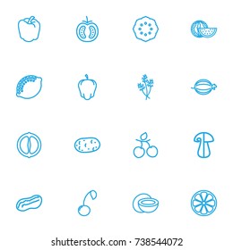 Set Of 16 Editable Cooking Outline Icons. Includes Symbols Such As Cherry, Sliced Citrus, Lemon And More. Can Be Used For Web, Mobile, UI And Infographic Design.