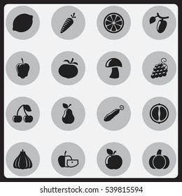 Set Of 16 Editable Cookware Icons. Includes Symbols Such As Zucchini, Duchess, Lime And More. Can Be Used For Web, Mobile, UI And Infographic Design.