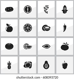 Set Of 16 Editable Cookware Icons. Includes Symbols Such As Cranberry, Cokernut, Papaya And More. Can Be Used For Web, Mobile, UI And Infographic Design.