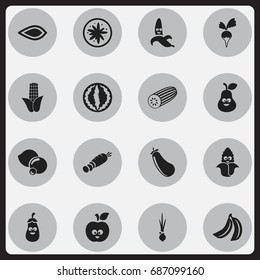 Set Of 16 Editable Cookware Icons. Includes Symbols Such As Bilberry, Corn, Jungle Fruit And More. Can Be Used For Web, Mobile, UI And Infographic Design.