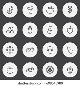 Set Of 16 Editable Cookware Outline Icons. Includes Symbols Such As Cherry, Duchess, Berry And More. Can Be Used For Web, Mobile, UI And Infographic Design.