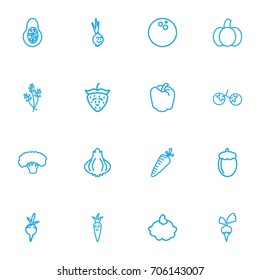 Set Of 16 Editable Cookware Outline Icons. Includes Symbols Such As Cute Onion, Dill, Avocado And More. Can Be Used For Web, Mobile, UI And Infographic Design.