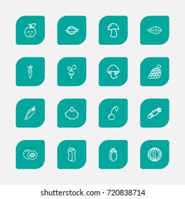 Set Of 16 Editable Cookware Outline Icons. Includes Symbols Such As Radish, Peach, Muskmelon And More. Can Be Used For Web, Mobile, UI And Infographic Design.