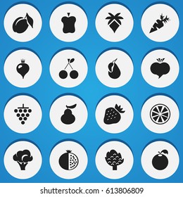 Set Of 16 Editable Dessert Icons. Includes Symbols Such As Avocado, Broccoli, Citrus And More. Can Be Used For Web, Mobile, UI And Infographic Design.
