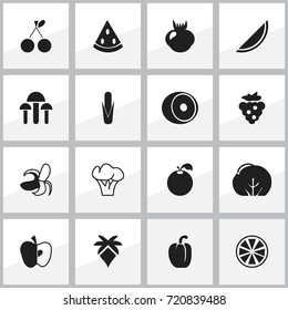 Set Of 16 Editable Dessert Icons. Includes Symbols Such As Melon, Lemon, Tree And More. Can Be Used For Web, Mobile, UI And Infographic Design.
