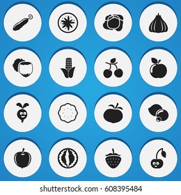 Set Of 16 Editable Food Icons. Includes Symbols Such As Berry, Cabbage, Filbert And More. Can Be Used For Web, Mobile, UI And Infographic Design.