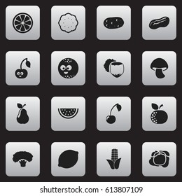 Set Of 16 Editable Food Icons. Includes Symbols Such As Muskmelon, Pistachio, Filbert And More. Can Be Used For Web, Mobile, UI And Infographic Design.