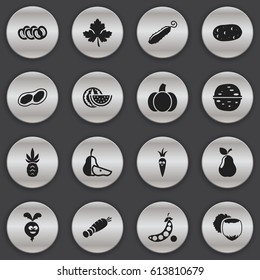 Set Of 16 Editable Food Icons. Includes Symbols Such As Gourd, Duchess, Pear Piece And More. Can Be Used For Web, Mobile, UI And Infographic Design.