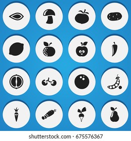 Set Of 16 Editable Food Icons. Includes Symbols Such As Funny Apple, Citrus, Turnip And More. Can Be Used For Web, Mobile, UI And Infographic Design.