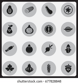Set Of 16 Editable Food Icons. Includes Symbols Such As Turnip, Strawberry, Papaya And More. Can Be Used For Web, Mobile, UI And Infographic Design.