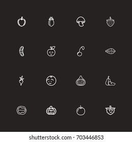Set Of 16 Editable Food Outline Icons. Includes Symbols Such As Fresh Fruit, Sliced Duchess, Fig And More. Can Be Used For Web, Mobile, UI And Infographic Design.