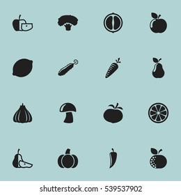 Set Of 16 Editable Food And Vegetable Icons. Includes Symbols Such As Low-Calorie Fruit, Zucchini, Lime And More. Can Be Used For Web, Mobile, UI And Infographic Design.