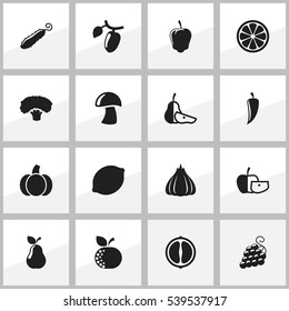 Set Of 16 Editable Food And Vegetable Icons. Includes Symbols Such As Onion, Zucchini, Low-Calorie Fruit And More. Can Be Used For Web, Mobile, UI And Infographic Design.