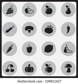 Set Of 16 Editable Food And Vegetable Icons. Includes Symbols Such As Pear Piece, Root Vegetable, Zucchini And More. Can Be Used For Web, Mobile, UI And Infographic Design.