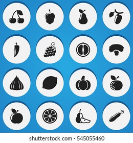 Set Of 16 Editable Food And Vegetable Icons. Includes Symbols Such As Orange Slice, Berry, Barberry And More. Can Be Used For Web, Mobile, UI And Infographic Design.