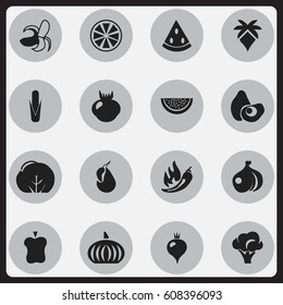 Set Of 16 Editable Fruits Icons. Includes Symbols Such As Allium, Papaya, Avocado And More. Can Be Used For Web, Mobile, UI And Infographic Design.