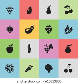 Set Of 16 Editable Fruits Icons. Includes Symbols Such As Morello Cherry, Jonagold, Duchess And More. Can Be Used For Web, Mobile, UI And Infographic Design.