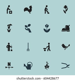 Set Of 16 Editable Garden Icons. Includes Symbols Such As Plant Cutter, Alstroemeria, Plant Protection And More. Can Be Used For Web, Mobile, UI And Infographic Design.