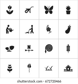 Set Of 16 Editable Gardening Icons. Includes Symbols Such As Aubergine, Leaves, Frond And More. Can Be Used For Web, Mobile, UI And Infographic Design.
