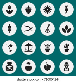 Set Of 16 Editable Gardening Icons. Includes Symbols Such As Blackberry, Farmer, Plant Cutter And More. Can Be Used For Web, Mobile, UI And Infographic Design.