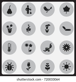 Set Of 16 Editable Gardening Icons. Includes Symbols Such As Lily, Sparrow, Leaf And More. Can Be Used For Web, Mobile, UI And Infographic Design.