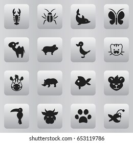 Set Of 16 Editable  Icons. Includes Symbols Such As Playful Fish, Tiger, Turbot And More. Can Be Used For Web, Mobile, UI And Infographic Design.