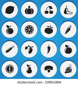 Set Of 16 Editable Kitchenware Icons. Includes Symbols Such As Orange Slice, Berry, Duchess And More. Can Be Used For Web, Mobile, UI And Infographic Design.