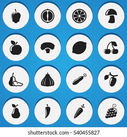Set Of 16 Editable Kitchenware Icons. Includes Symbols Such As Barberry, Lime, Chili And More. Can Be Used For Web, Mobile, UI And Infographic Design.