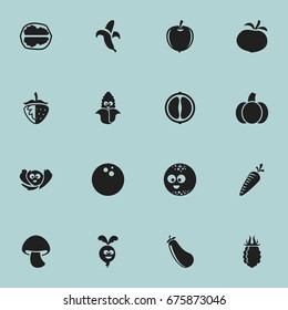 Set Of 16 Editable Kitchenware Icons. Includes Symbols Such As Walnut, Coconut, Root Vegetable And More. Can Be Used For Web, Mobile, UI And Infographic Design.