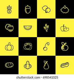 Set Of 16 Editable Kitchenware Outline Icons. Includes Symbols Such As Cherry, Pear, Orange And More. Can Be Used For Web, Mobile, UI And Infographic Design.