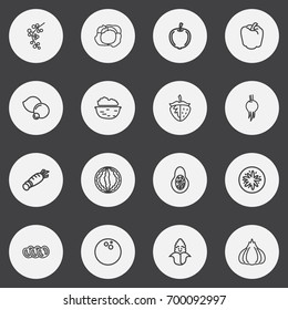 Set Of 16 Editable Kitchenware Outline Icons. Includes Symbols Such As Cocos, Cauliflower, Muskmelon And More. Can Be Used For Web, Mobile, UI And Infographic Design.