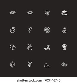 Set Of 16 Editable Kitchenware Outline Icons. Includes Symbols Such As Sliced Tomato, Turnip, Blueberry And More. Can Be Used For Web, Mobile, UI And Infographic Design.