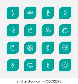 Set Of 16 Editable Kitchenware Outline Icons. Includes Symbols Such As Garlic, Sliced Citrus, Sliced Tomato And More. Can Be Used For Web, Mobile, UI And Infographic Design.