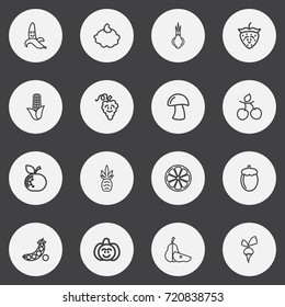 Set Of 16 Editable Kitchenware Outline Icons. Includes Symbols Such As Pineapple, Custard, Peas And More. Can Be Used For Web, Mobile, UI And Infographic Design.