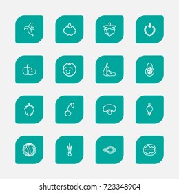 Set Of 16 Editable Kitchenware Outline Icons. Includes Symbols Such As Bulgarian Bell, Muskmelon, Apple Slice And More. Can Be Used For Web, Mobile, UI And Infographic Design.