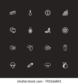 Set Of 16 Editable Kitchenware Outline Icons. Includes Symbols Such As Peanut, Peas, Onion And More. Can Be Used For Web, Mobile, UI And Infographic Design.