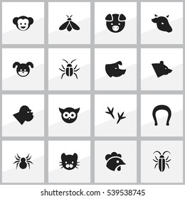 Set Of 16 Editable Nature Icons. Includes Symbols Such As Honey, Bird, Rooster And More. Can Be Used For Web, Mobile, UI And Infographic Design.