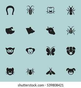 Set Of 16 Editable Nature Icons. Includes Symbols Such As Moth, Talisman, Bug And More. Can Be Used For Web, Mobile, UI And Infographic Design.
