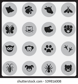 Set Of 16 Editable Nature Icons. Includes Symbols Such As Grizzly, Honey, Beast And More. Can Be Used For Web, Mobile, UI And Infographic Design.