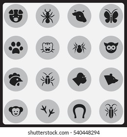 Set Of 16 Editable Nature Icons. Includes Symbols Such As Footprint, Beast, Bedbug And More. Can Be Used For Web, Mobile, UI And Infographic Design.